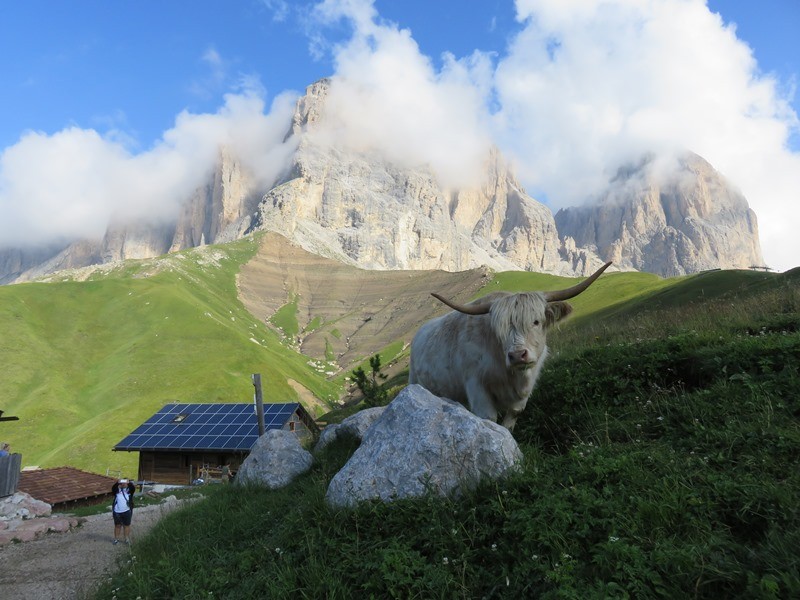 DOLOMITI 2018 (11.-13.8.2018) - foto povečava