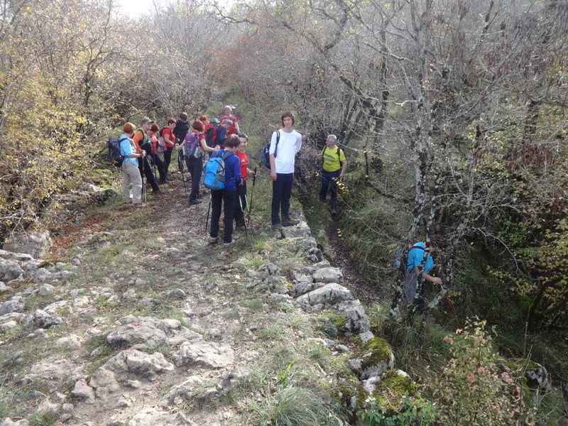 Pot sedmih slapov (3.11.2018 in ogl.t.) - foto povečava