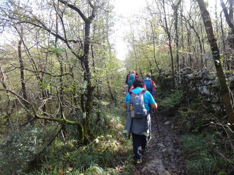 Pot sedmih slapov (3.11.2018 in ogl.t.) - foto povečava