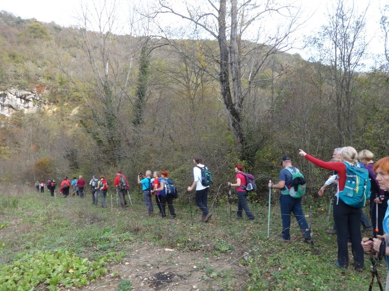 Pot sedmih slapov (3.11.2018 in ogl.t.) - foto povečava