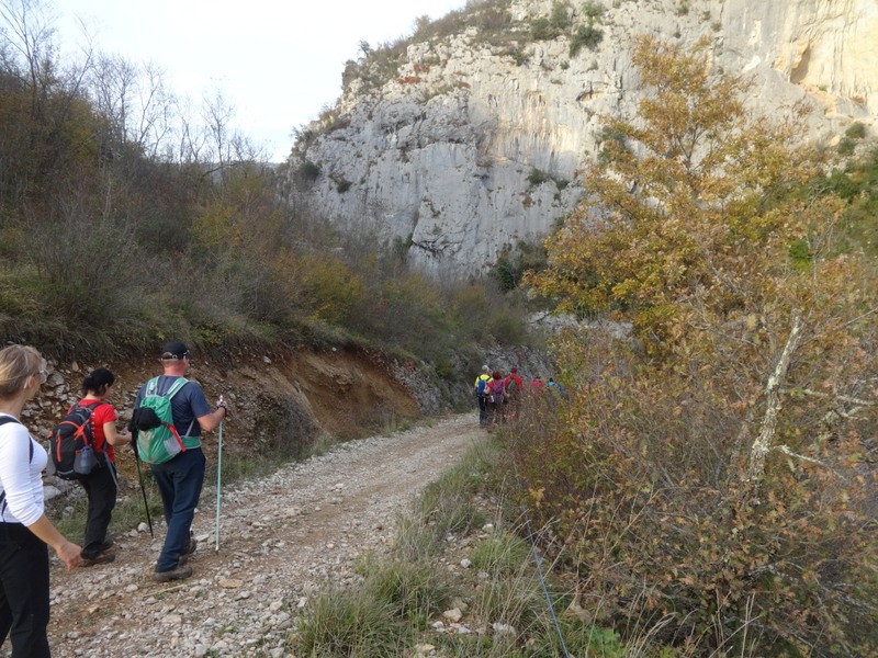 Pot sedmih slapov (3.11.2018 in ogl.t.) - foto povečava