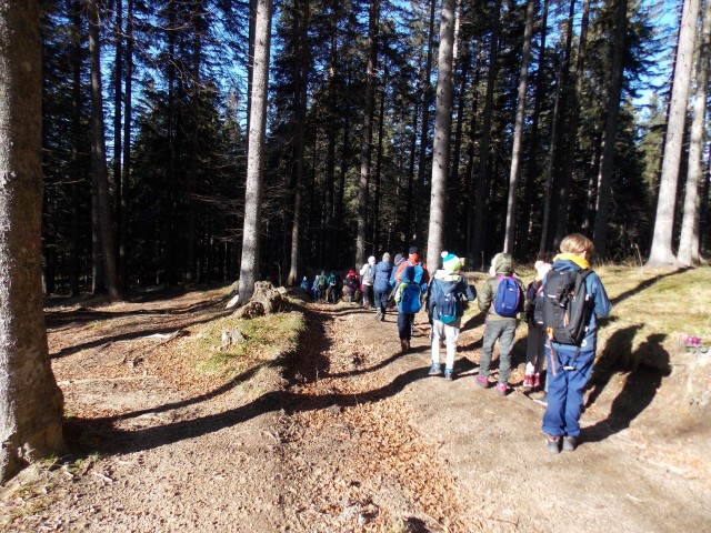 Pohod za OŠ klopni vrh-pesek (17.11.2018) - foto