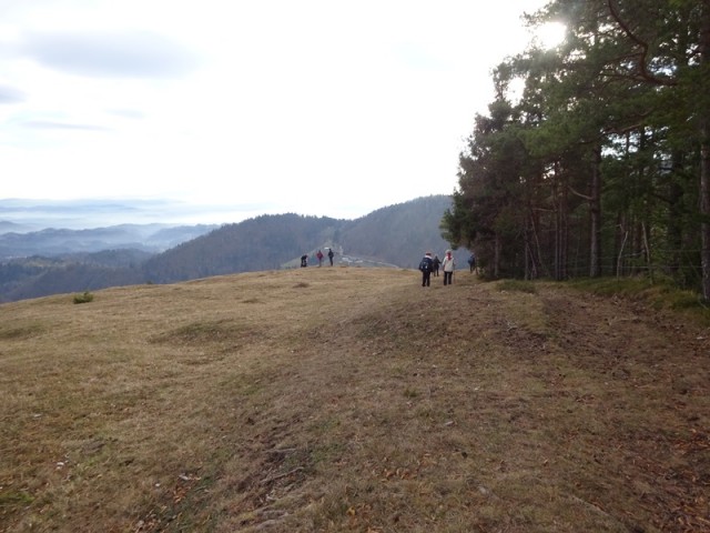 Kamniški vrh zaklj. tura (26.12.2018) - foto