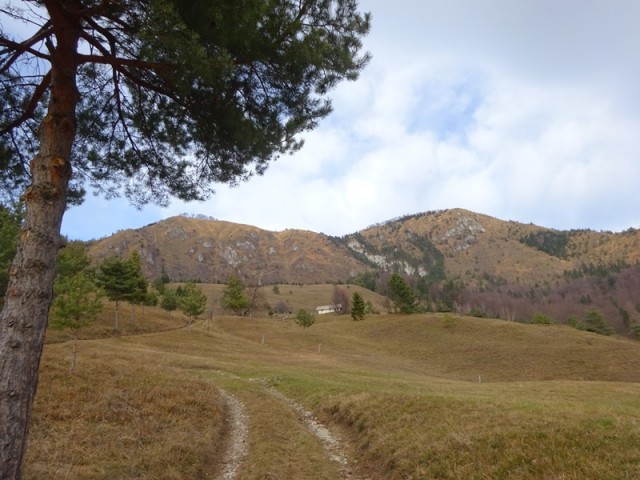 Kamniški vrh zaklj. tura (26.12.2018) - foto