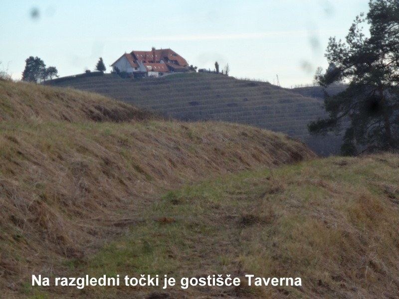 PPP m. nedelja-jeruzalem (12.1.2019) - foto povečava