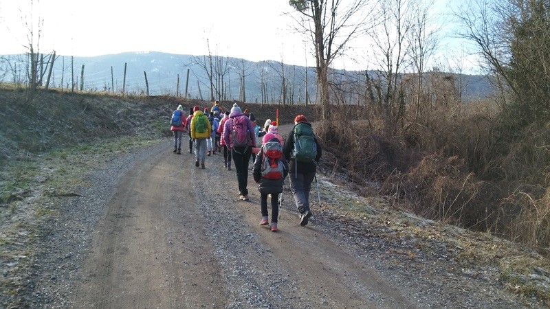 Pečke mladinski pohod (9.2.2019) - foto povečava