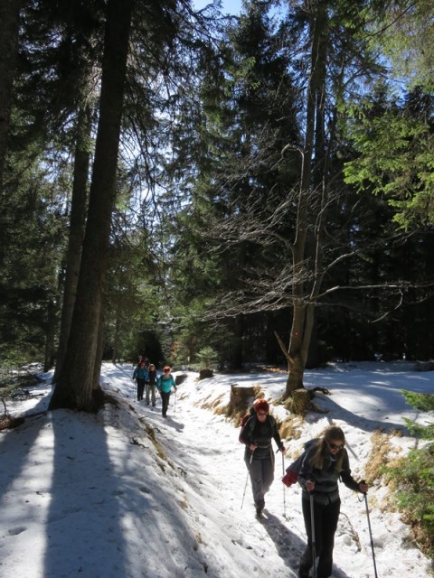 Črni vrh (17.2.2019) - foto