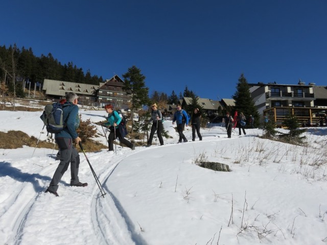 Črni vrh (17.2.2019) - foto