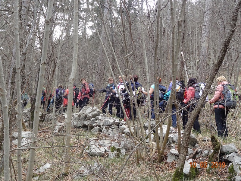 Pohod ob dnevu žena (9.-10.3.2019) - foto povečava