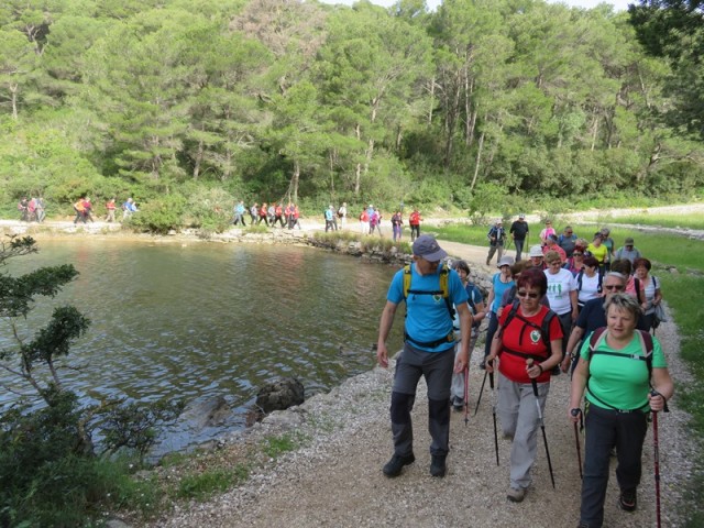 Mljet 2. (24.-28.4.2019) - foto