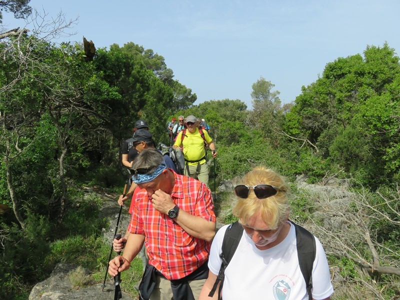 Mljet 2. (24.-28.4.2019) - foto povečava