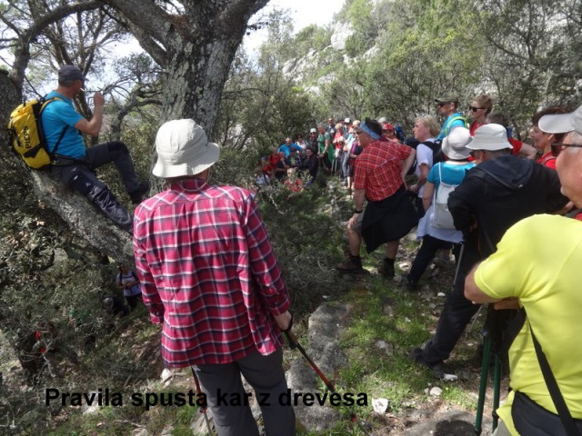 Mljet 1. (24.-28.4.2019) - foto