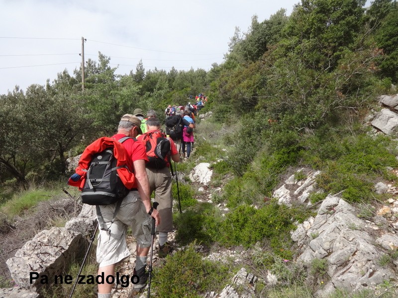 Mljet 1. (24.-28.4.2019) - foto povečava