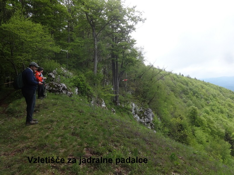 Zasavje zg. slivna + ogl.t.(25.5.2019) - foto povečava