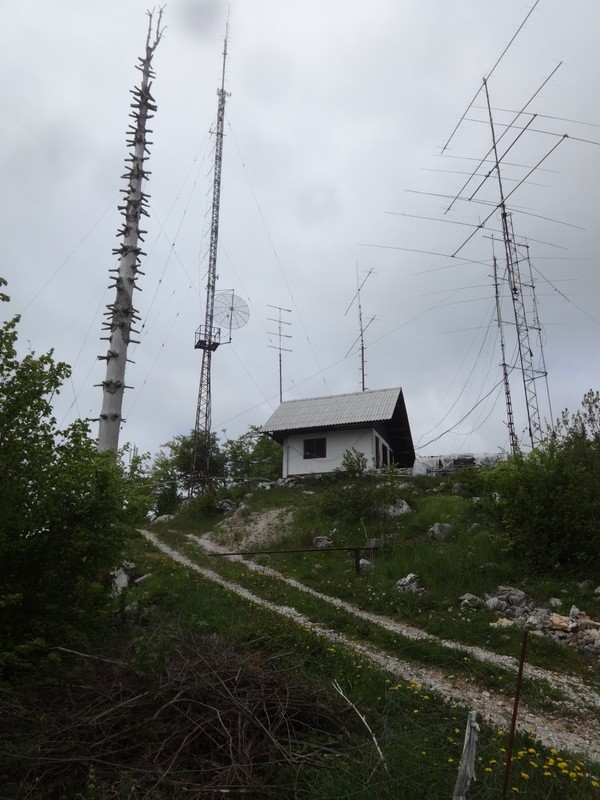 Zasavje zg. slivna + ogl.t.(25.5.2019) - foto povečava