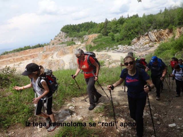 Zasavje zg. slivna + ogl.t.(25.5.2019) - foto