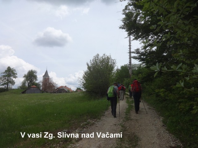 Zasavje zg. slivna + ogl.t.(25.5.2019) - foto