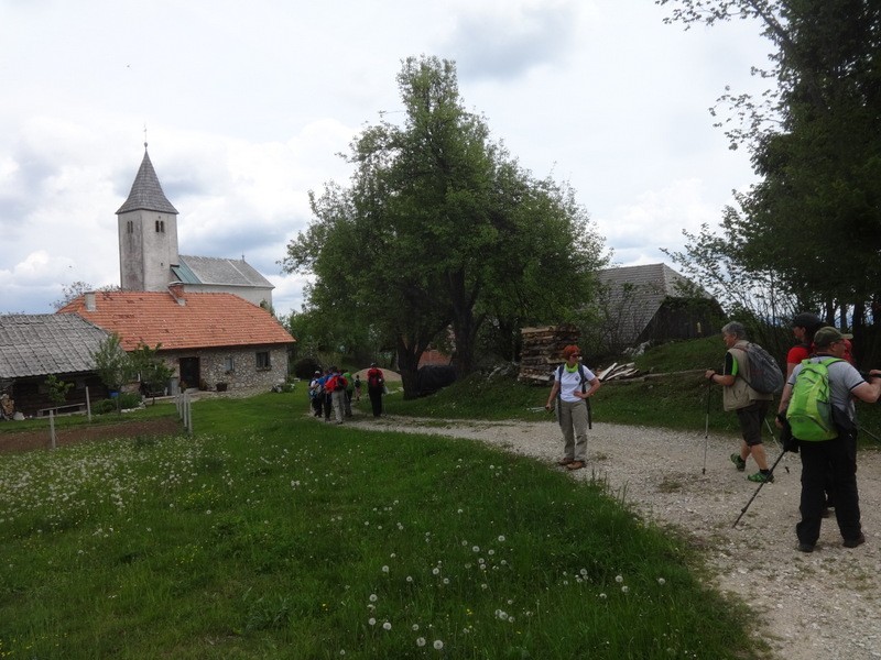 Zasavje zg. slivna + ogl.t.(25.5.2019) - foto povečava