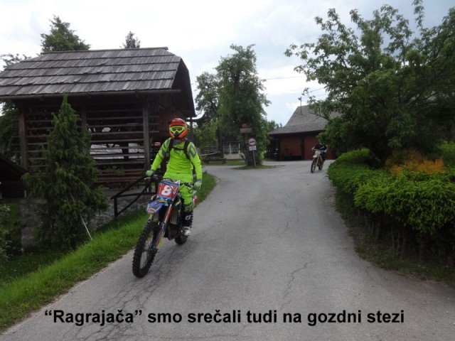 Zasavje zg. slivna + ogl.t.(25.5.2019) - foto