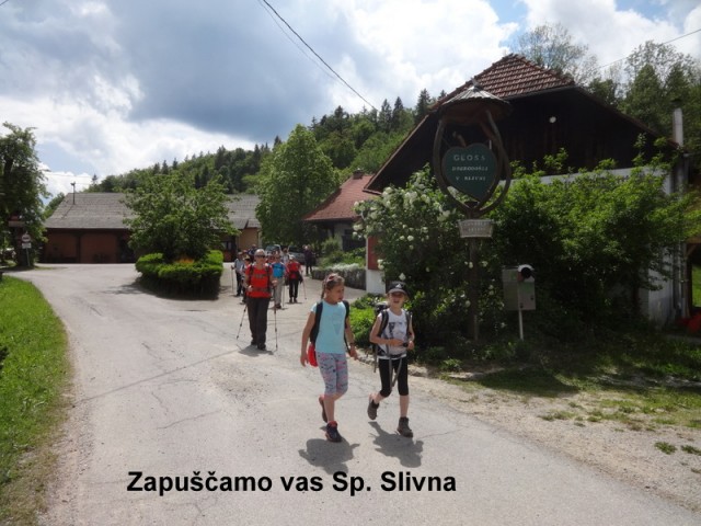 Zasavje zg. slivna + ogl.t.(25.5.2019) - foto