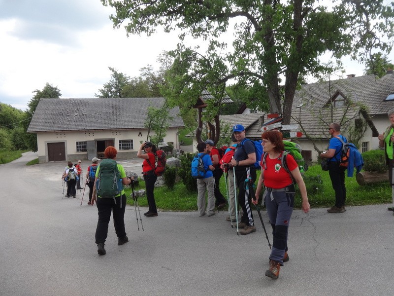 Zasavje zg. slivna + ogl.t.(25.5.2019) - foto povečava