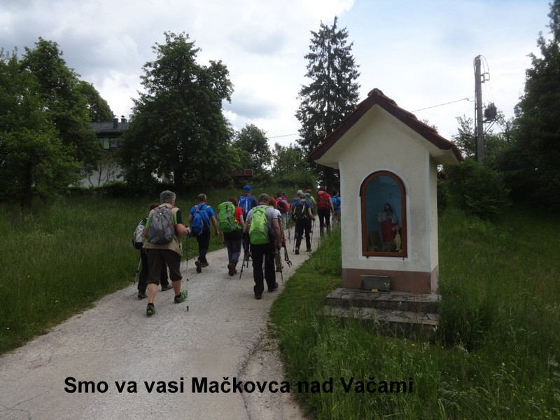 Zasavje zg. slivna + ogl.t.(25.5.2019) - foto povečava