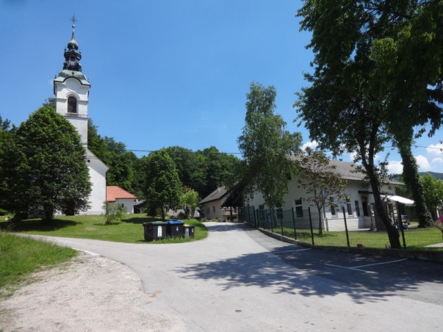 Krim ogl.tura - foto