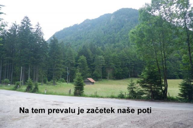 Jerebikovec+ogl.tura (6.7.2019) - foto