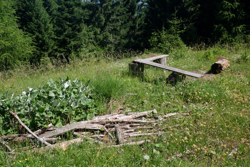 Jerebikovec+ogl.tura (6.7.2019) - foto povečava