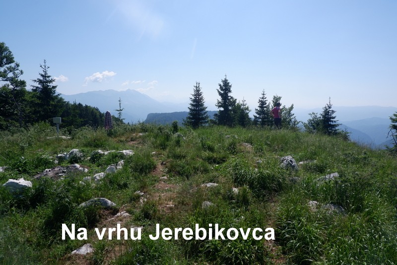 Jerebikovec+ogl.tura (6.7.2019) - foto povečava