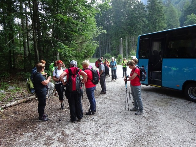 Jerebikovec+ogl.tura (6.7.2019) - foto