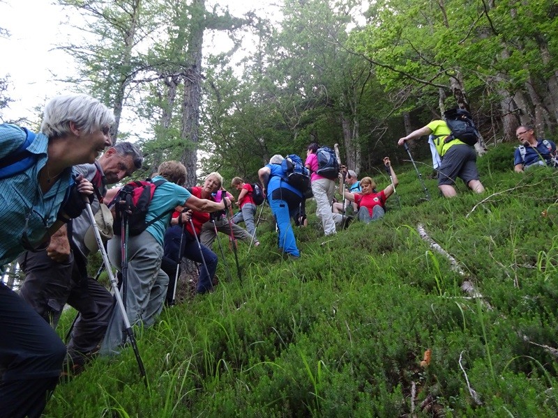 Jerebikovec+ogl.tura (6.7.2019) - foto povečava