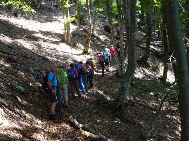 Jerebikovec+ogl.tura (6.7.2019) - foto