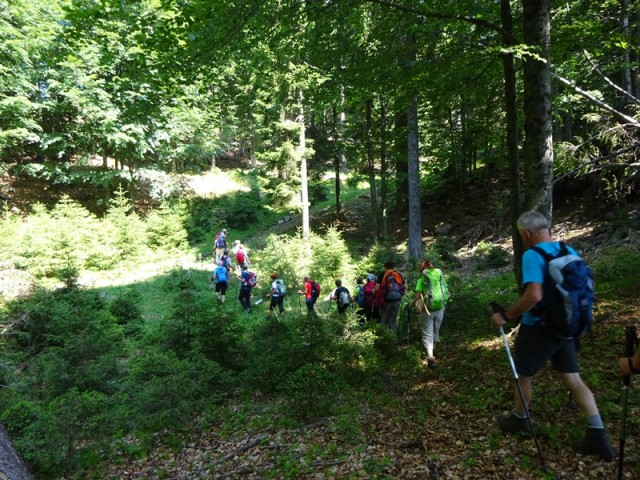 Jerebikovec+ogl.tura (6.7.2019) - foto