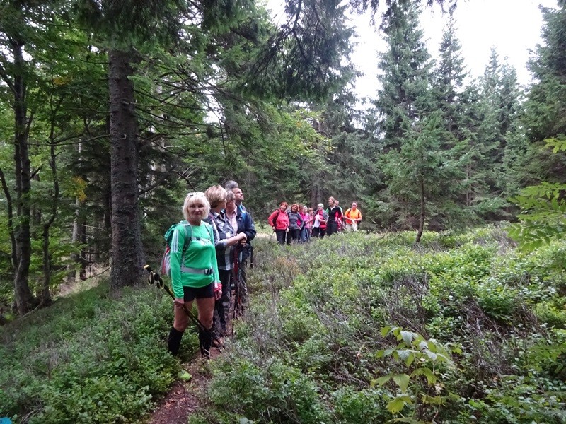 Smrekovško pogorje (14.9.2019) - foto povečava