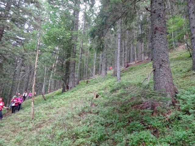 Smrekovško pogorje (14.9.2019) - foto