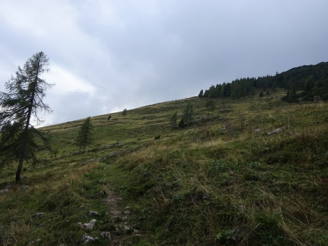 Smrekovško pogorje (14.9.2019) - foto