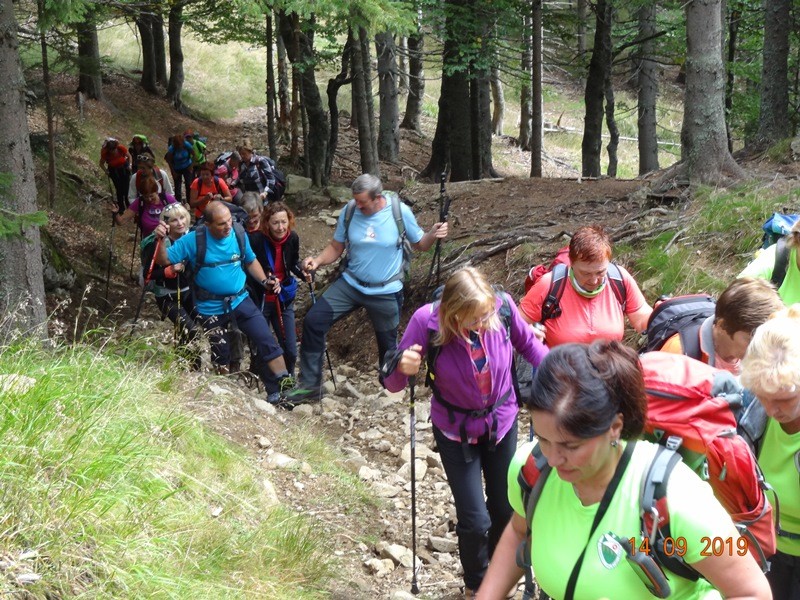 Smrekovško pogorje (14.9.2019) - foto povečava