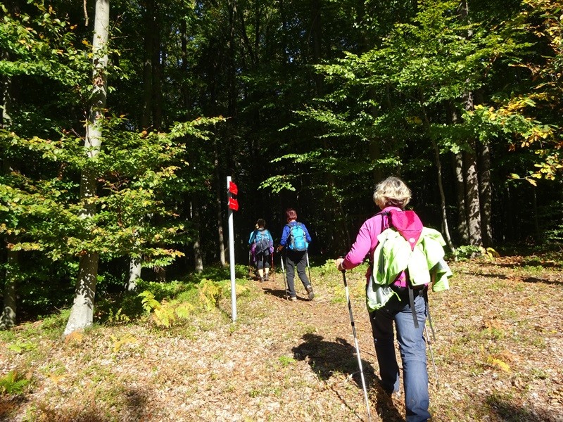 Steklasova pot (5.10.2019) - foto povečava