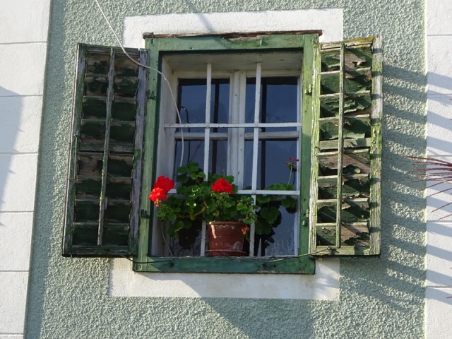 Pohod ob občinskem prazniku (26.10.2019) - foto