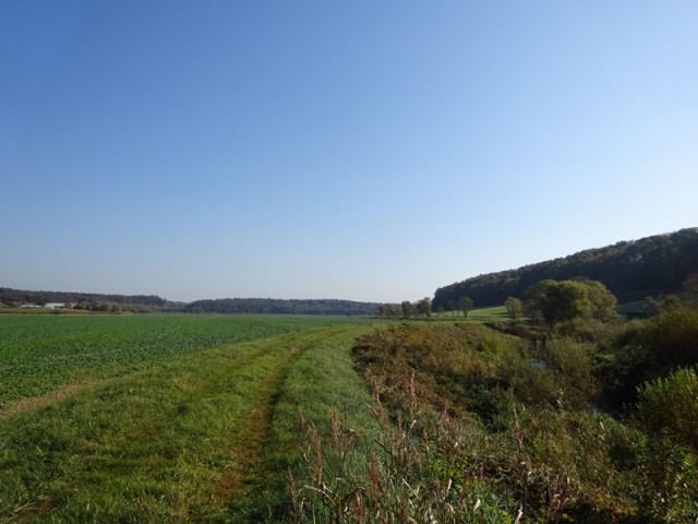 Pohod ob občinskem prazniku (26.10.2019) - foto