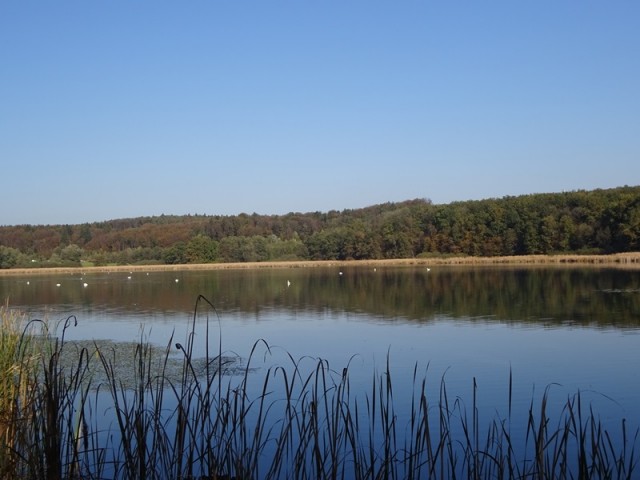 Pohod ob občinskem prazniku (26.10.2019) - foto