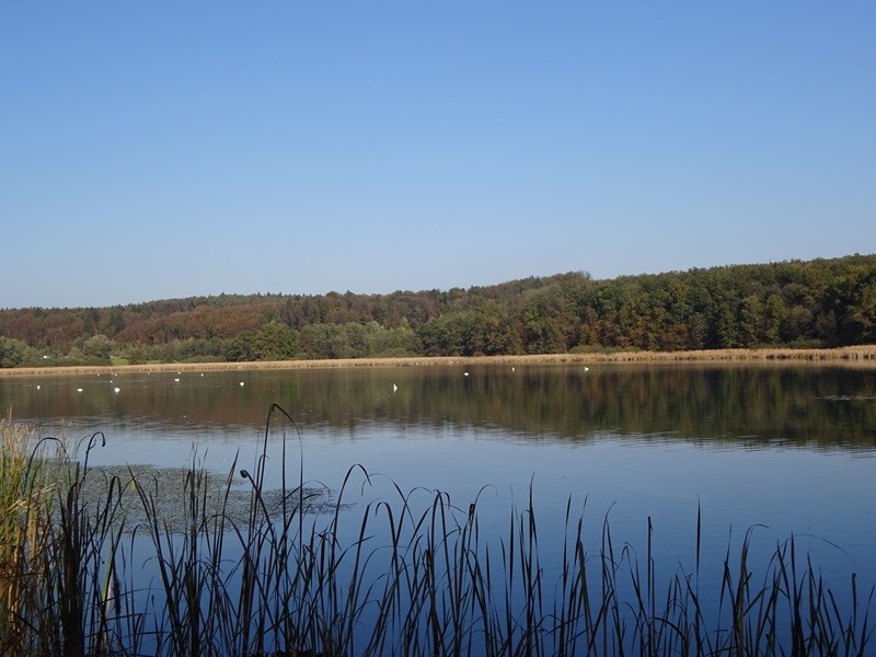 Pohod ob občinskem prazniku (26.10.2019) - foto povečava