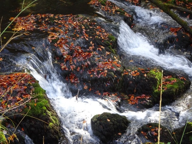 Krempa in krokar (ogledna tura) - foto