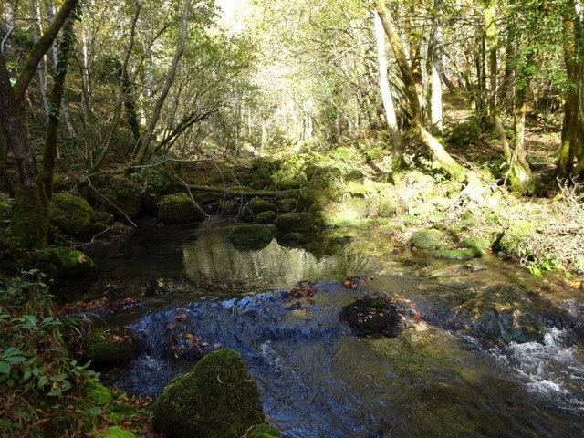 Krempa in krokar (ogledna tura) - foto