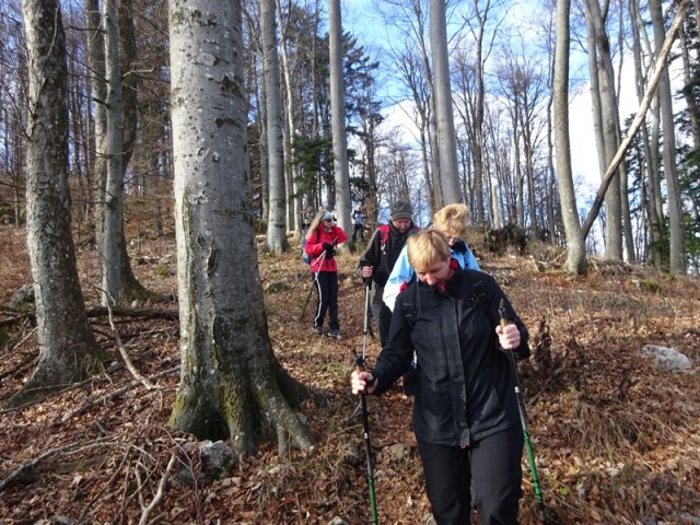 Konjiška gora stolpnik + ogl. t. 26.12.2019 - foto