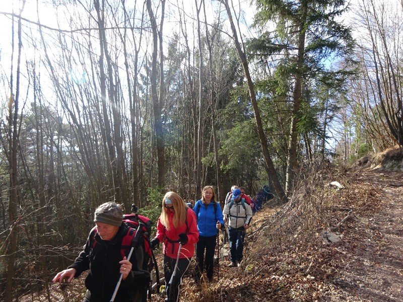 Konjiška gora stolpnik + ogl. t. 26.12.2019 - foto povečava