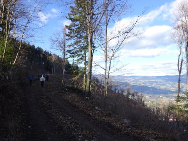 Konjiška gora stolpnik + ogl. t. 26.12.2019 - foto