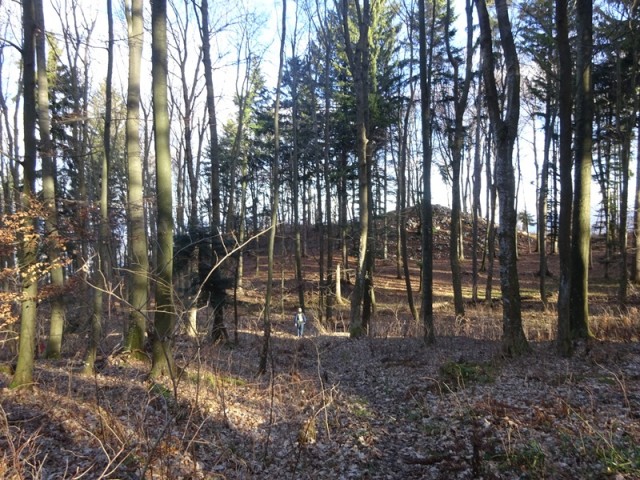 Konjiška gora stolpnik + ogl. t. 26.12.2019 - foto