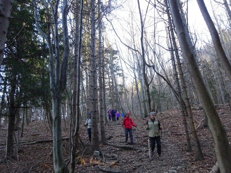 Konjiška gora stolpnik + ogl. t. 26.12.2019 - foto povečava